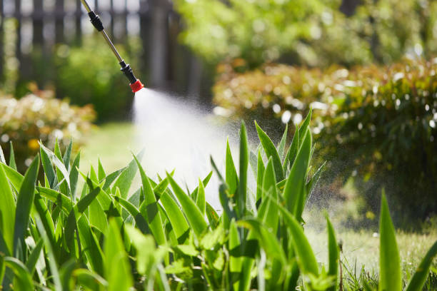 24/7 Emergency Fumigation Services experts in St. Johns, MI