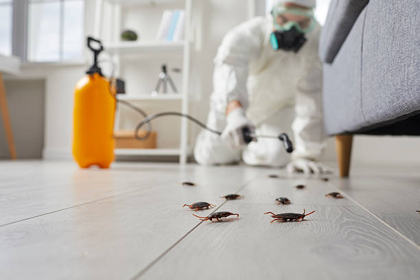 Trusted Termite Control service in St. Johns, MI - Nex Pest Control