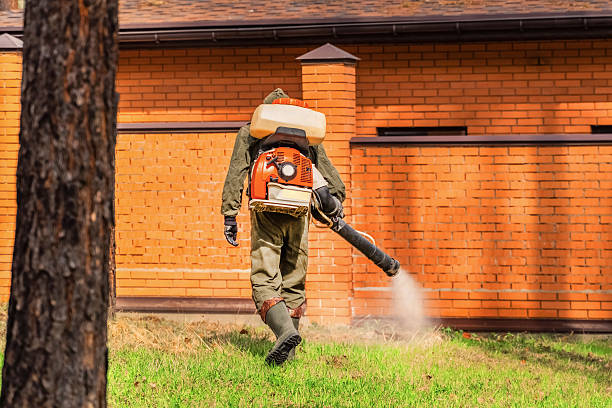 Trusted Rodent Control service in St. Johns, MI - Nex Pest Control